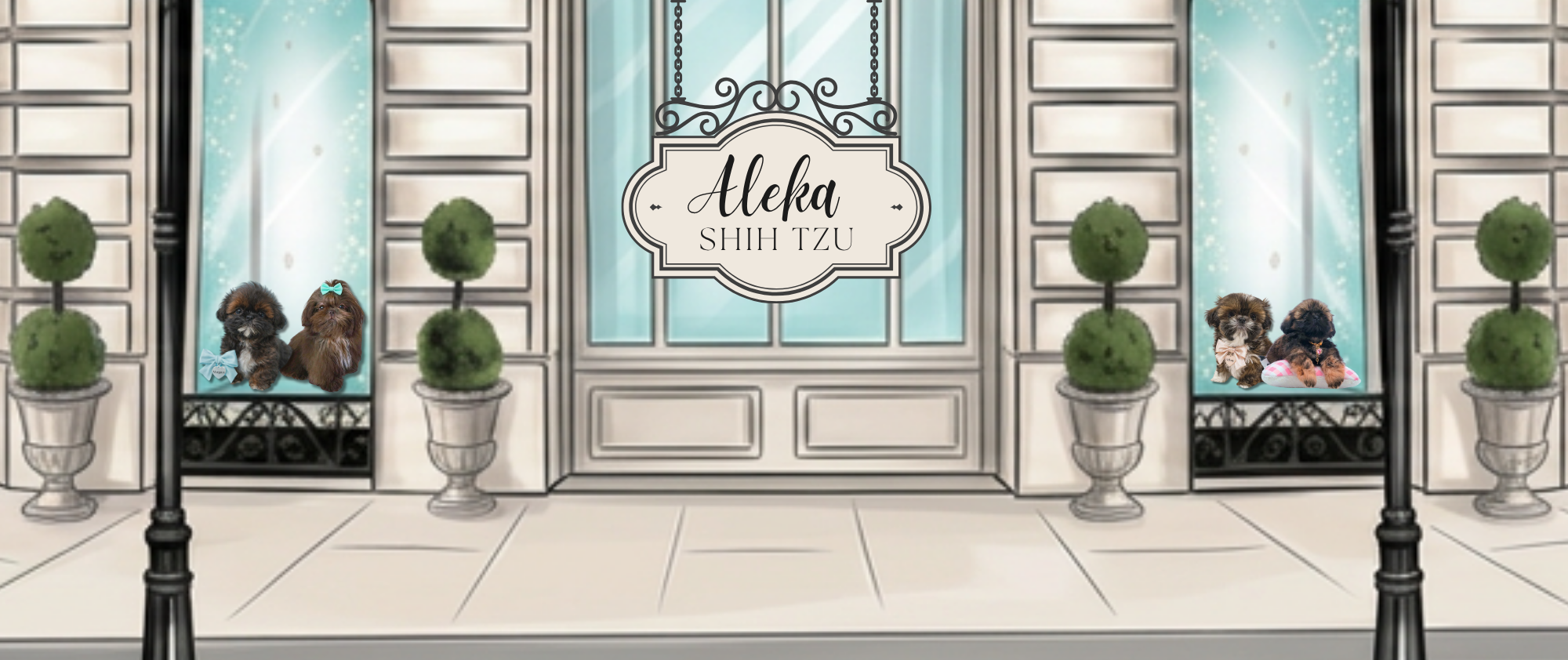 Aleka Shih Tzu — Tiffany-blue boutique storefront