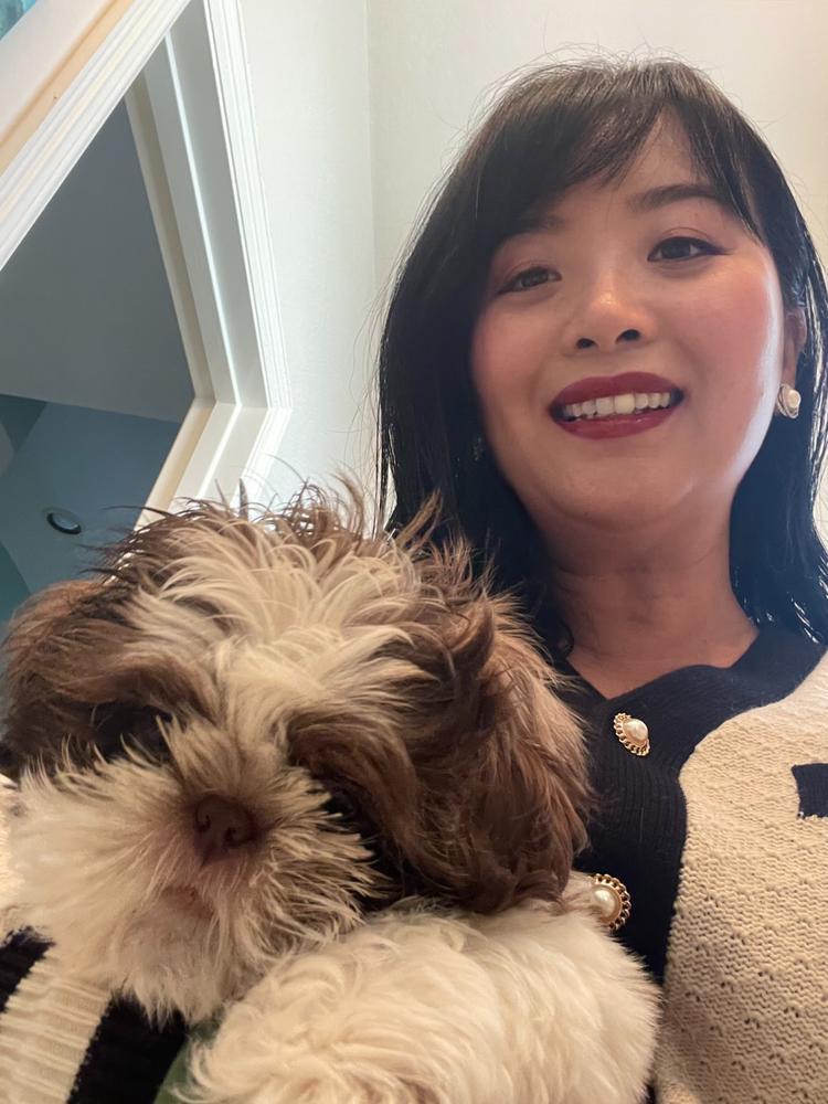 aivan d.'s Aleka Shih Tzu puppy
